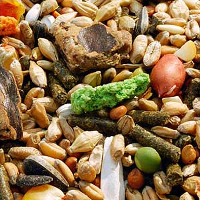 Garvo Knaagdiermix (5540) 2KG