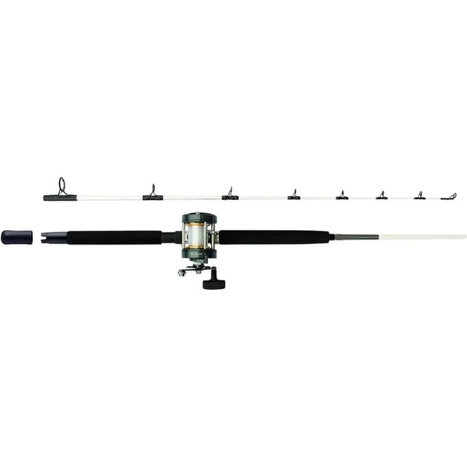 Combo hengel Mitchell Performance Sw 562 10-30 g