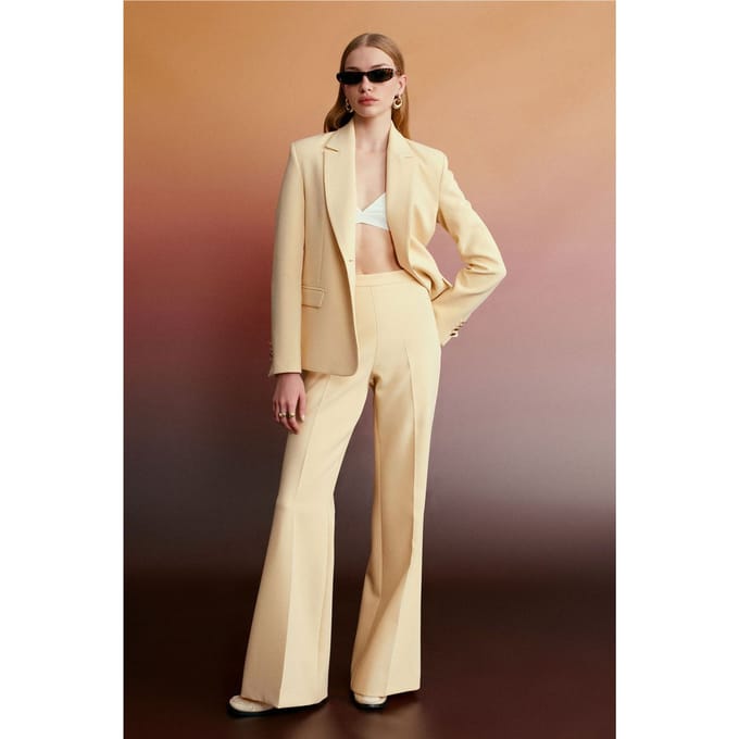 Hoge taille geplooide flare broek