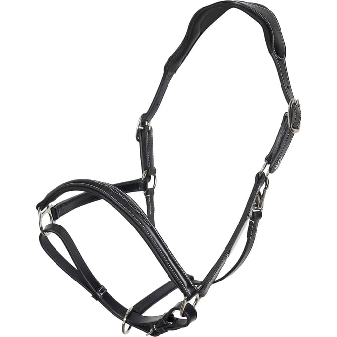 Halster voor paarden HV Polo Legacy