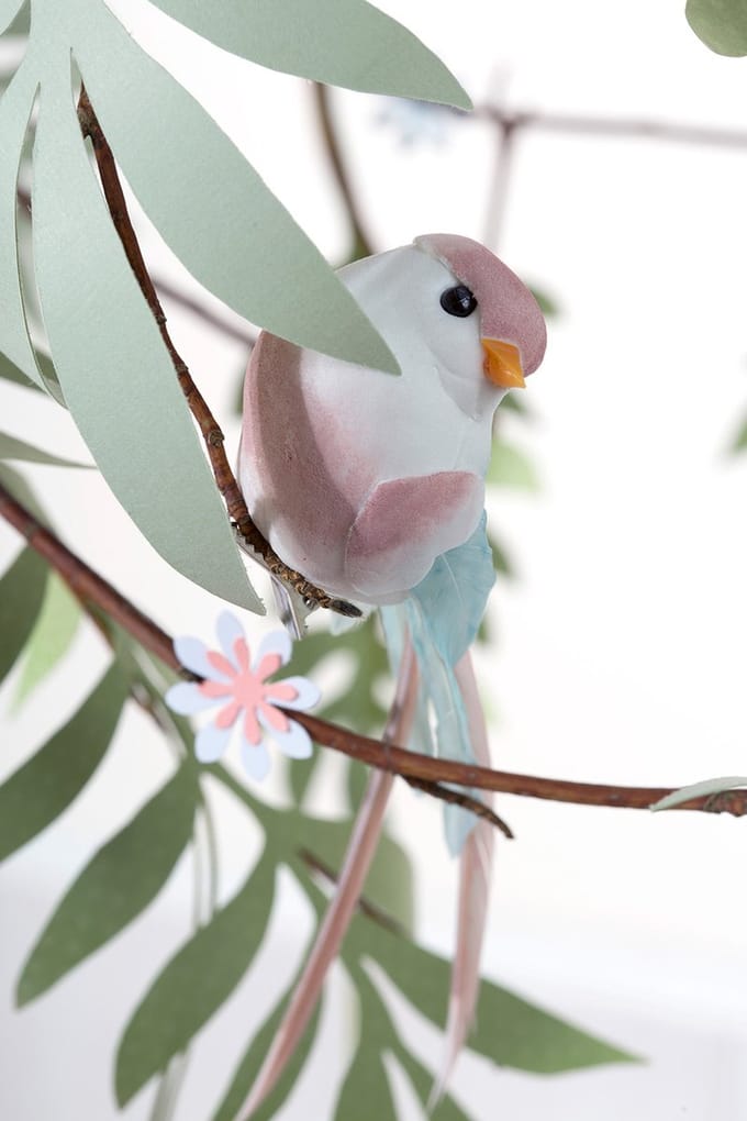 6 BIRDS LOVE STORY