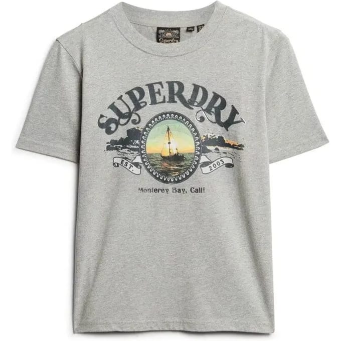 Superdry TRAVEL SOUVENIR RELAXED TEE Dames - Grijs - Maat M