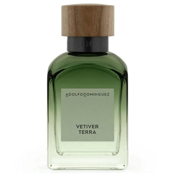 Adolfo Dominguez Vetiver Terra eau de parfum 120 ml voor heren gray