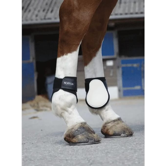 Kogelbeschermers voor paarden Norton