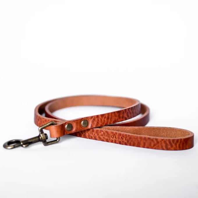 Cooper & Quint No Fuss Hondenriem Leer- Camel - Breed - 140cm - Oud Messing