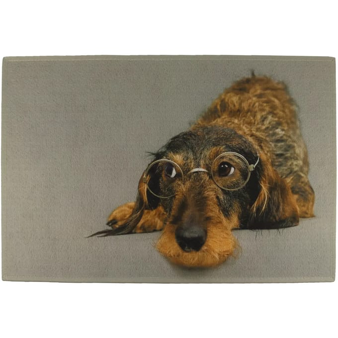 deurmat humor ruwharige teckel bril 75x50cm