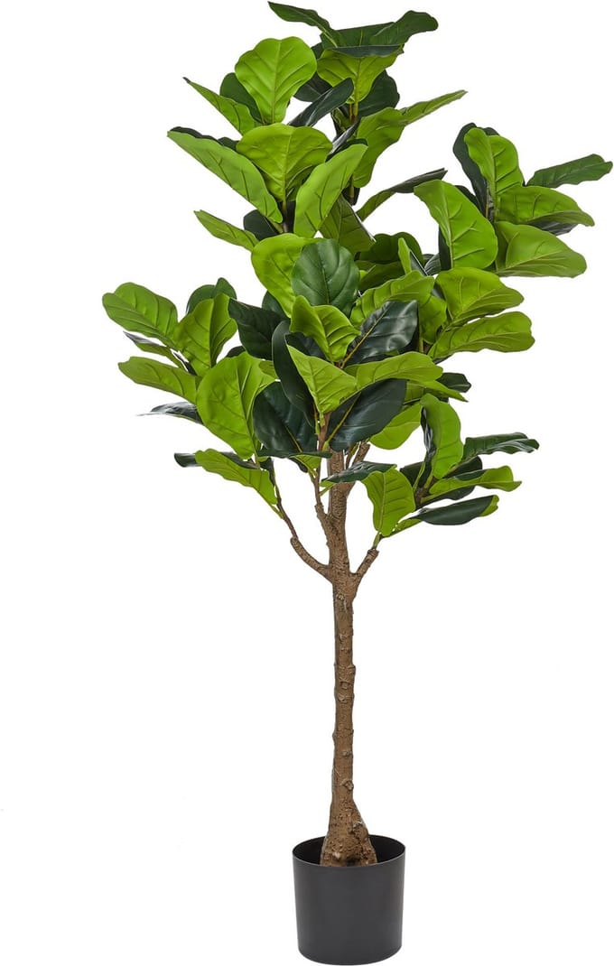 FIG TREE - Kunstplant - Groen - 162 cm - Synthetisch materiaal