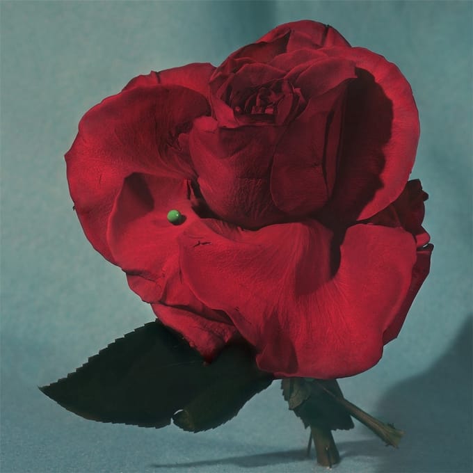 Metz - Up On Gravity Hill (CD)