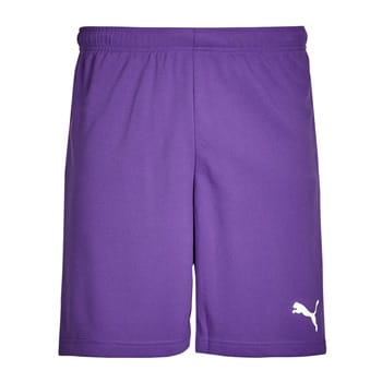 Puma Teamrise Short Heren - Paars | Maat: L