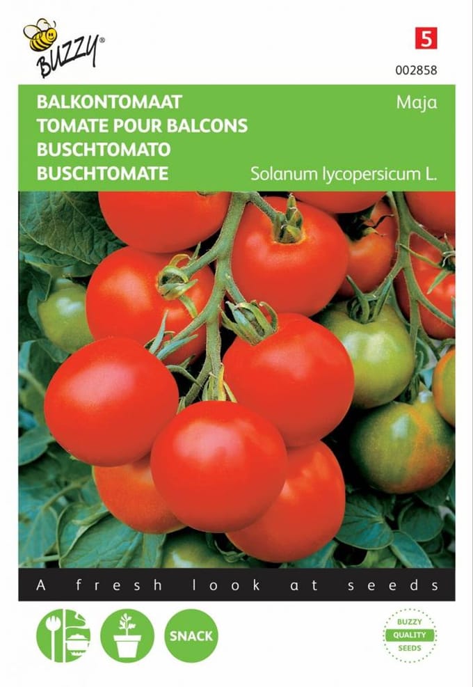 Buzzy® - Tomaat, Balkontomaat Maja