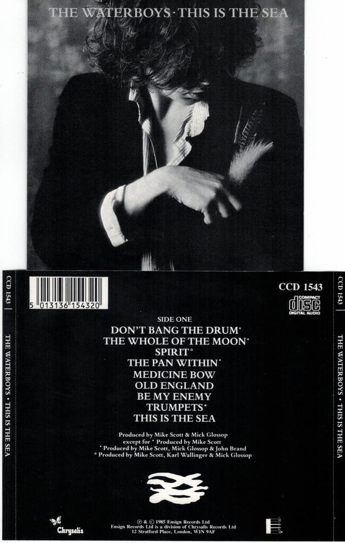 Waterboys - This Is the Sea (CD)