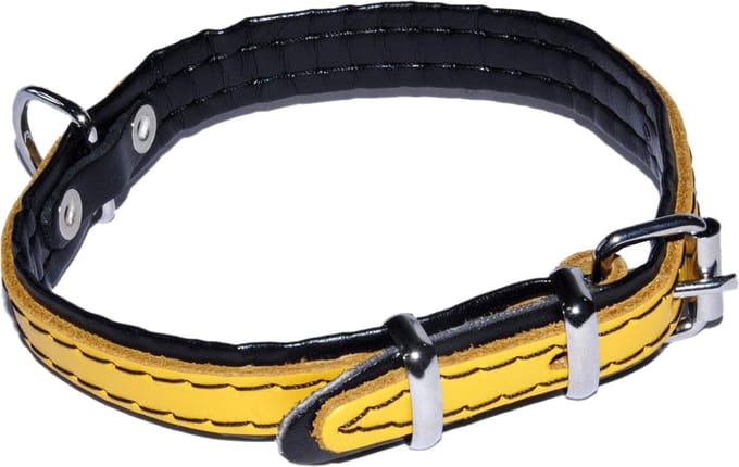Gele hondenhalsband - leer 12mm/32cm DINO