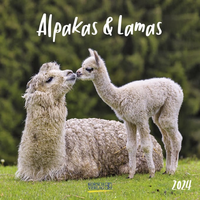 Alpaca Kalender 2024