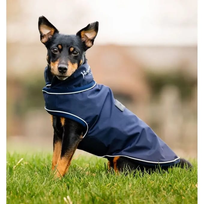 Regenjas voor honden Horseware Signature