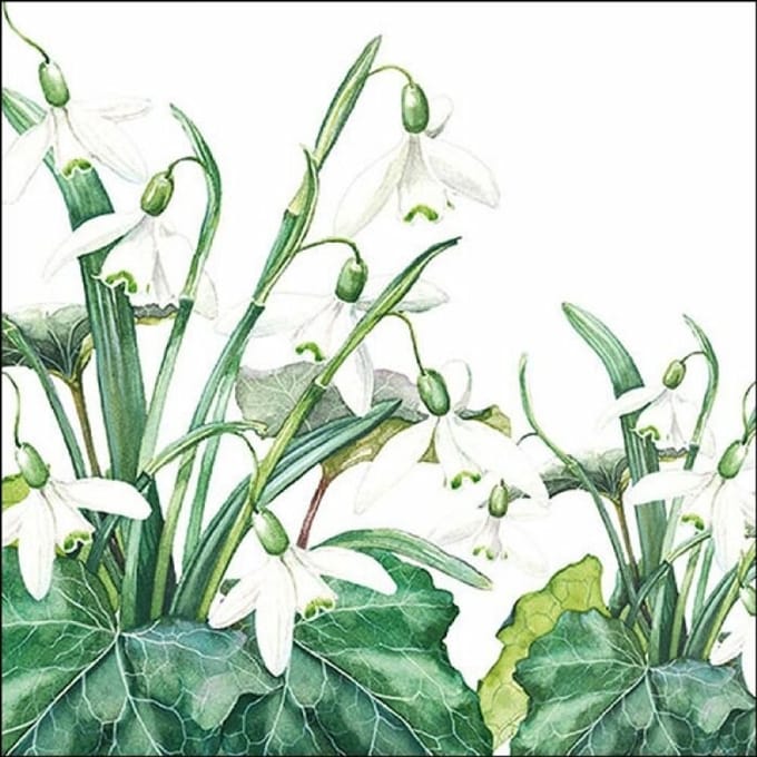 Ambiente - Lunch servetten - Snowdrops White