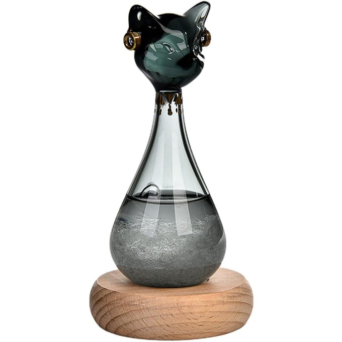 Weersvoorspeller Kat Fles Zwart Ergonomisch Robuust Glas Weersvoorspeller Voor Woonkamer Keuken black