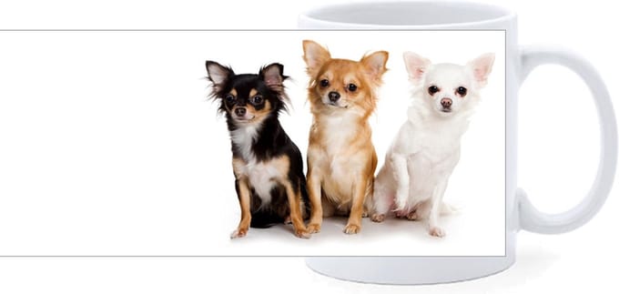 Beker - Chihuahuas verschillende Kleuren