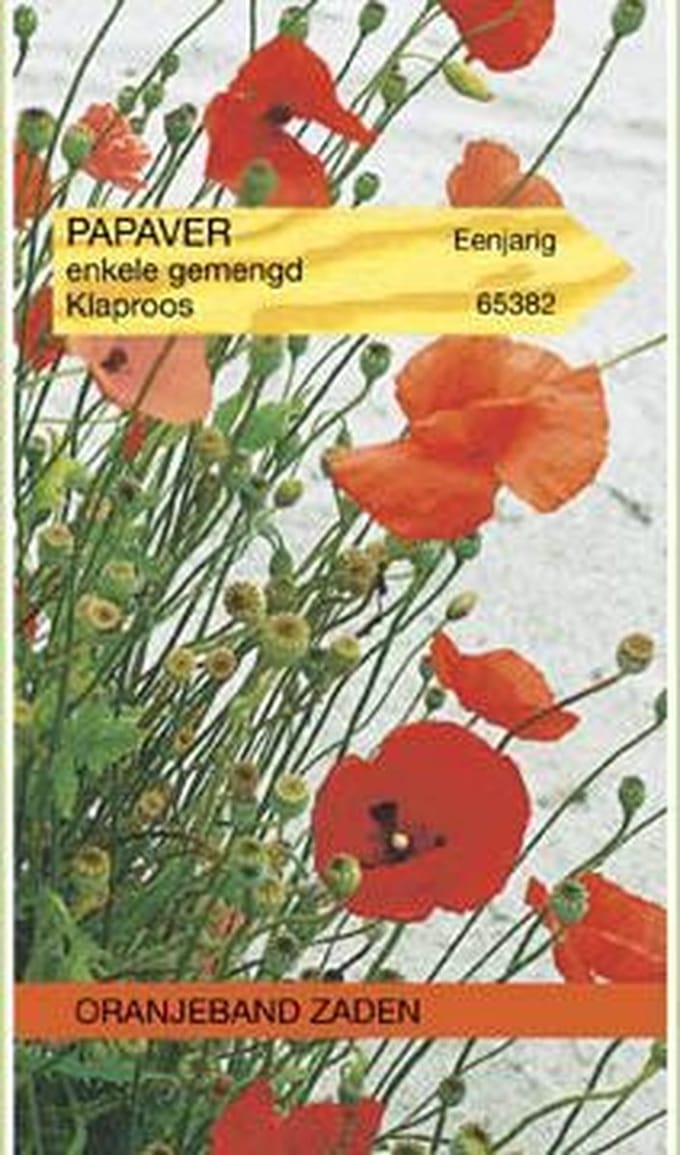 Oranjebandzaden -  Papaver, Klaproos enkelbloemig Shirley
