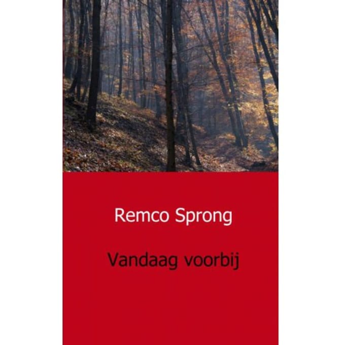 Vandaag Voorbij - Remco Sprong