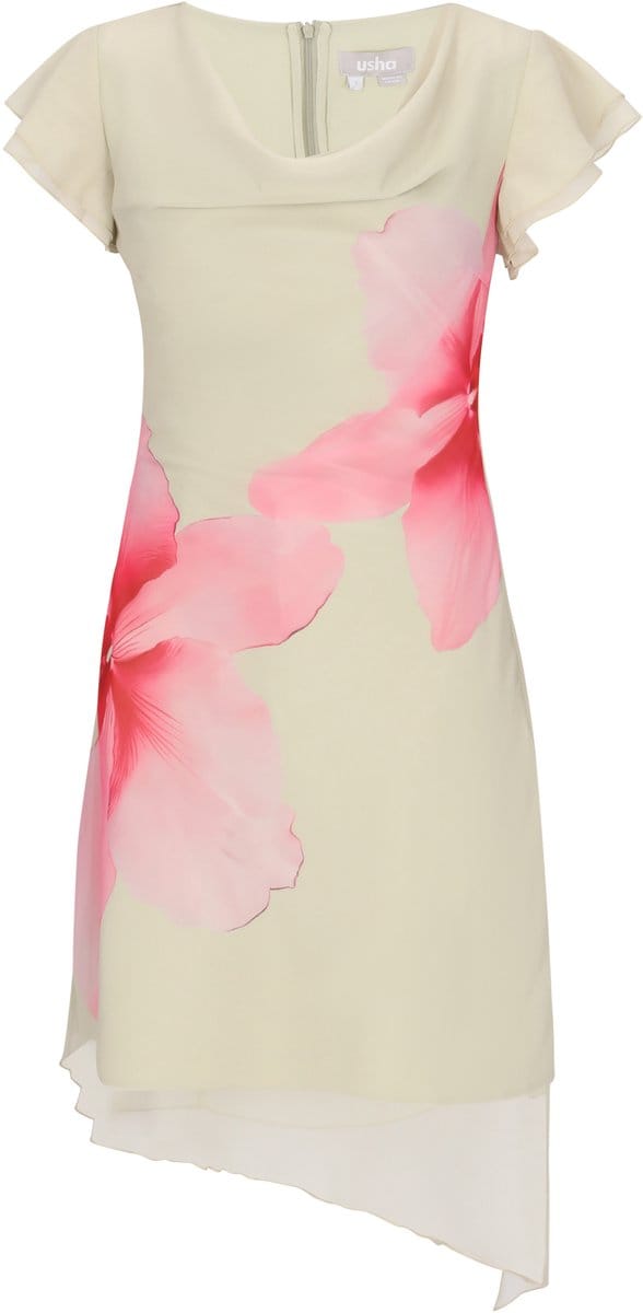 usha Dress