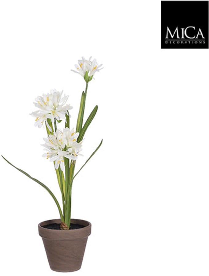 Mica Decorations Agapanthus wit in pot Stran grijs Ø11,5 cm - H45 x Ø20cm