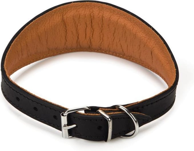 Beeztees Rondo Windhond - Hondenhalsband - 36-44 cm x 50 mm