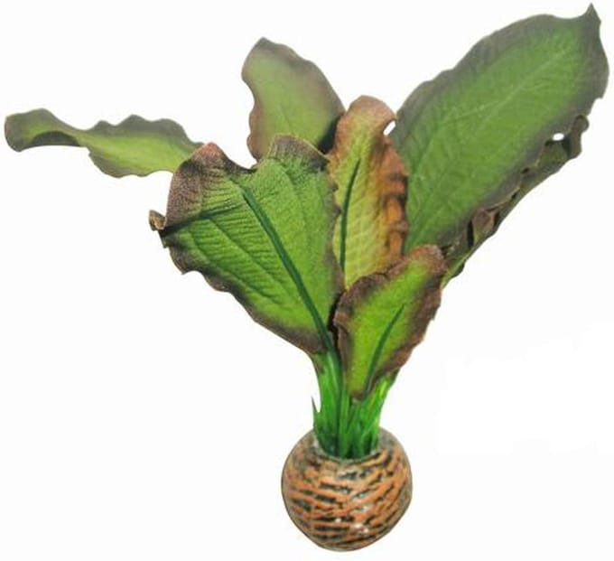 Superfish easy plants voorgrond nr. 3, van zijde 13 cm - 1 ST