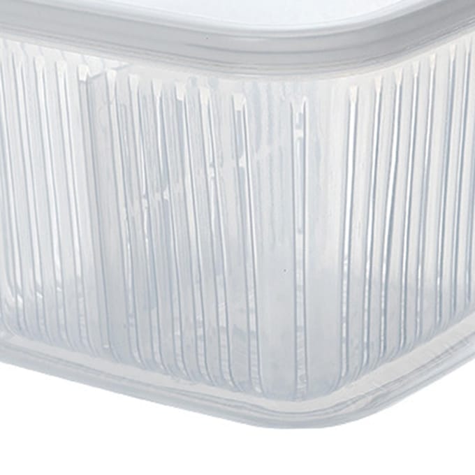 Lente-ui Crisper Afdruipend Verdeeld Multifunctioneel Plastic Lente-ui Vershoudcontainer voor transparant