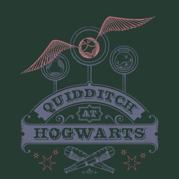 Harry Potter Quidditch At Hogwarts Women's T-Shirt - Green - XL