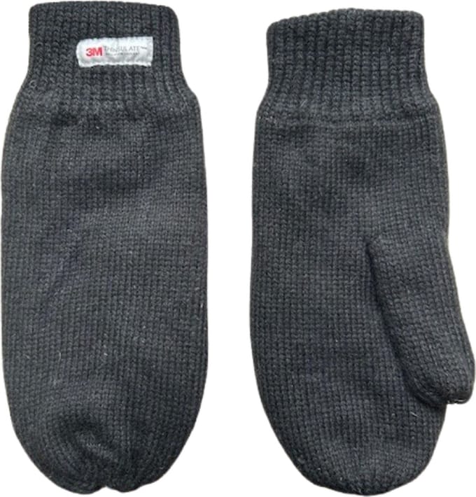 Heren wanten - Winter want - Thinsulate - Wol - Zwart - One size