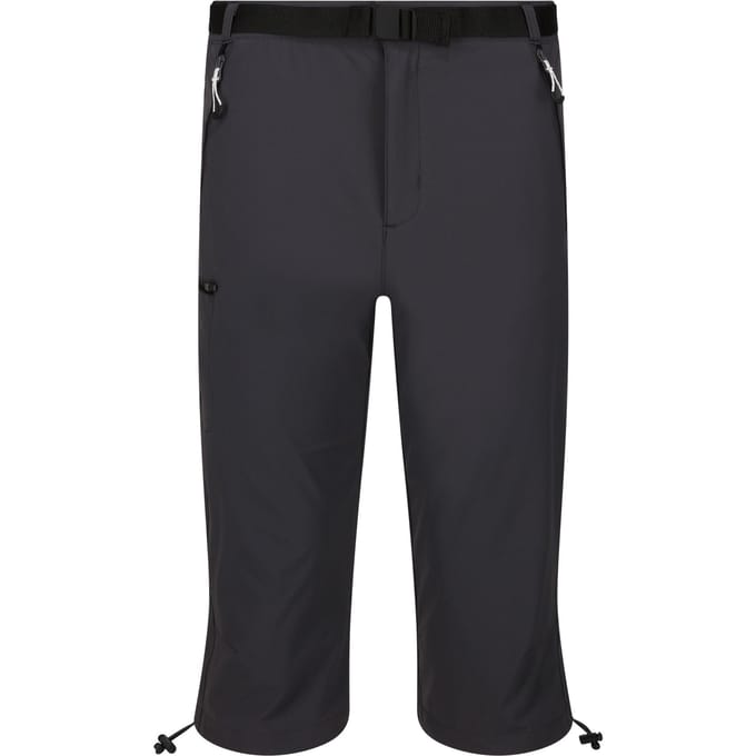 Regatta Heren Xert Stretch III Stretch Active Capri Shorts (Afdichting Grijs)