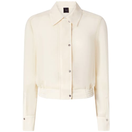 Overhemd Pinko 104787A21F