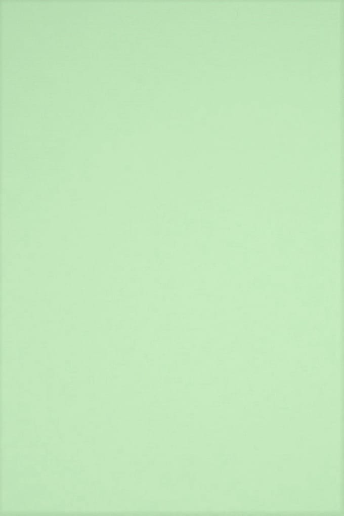Netuno - groen glad gekleurd papier - A4 - 21 x 29,7 cm - 20 vellen - 230 gram - Rainbow Medium Green R75