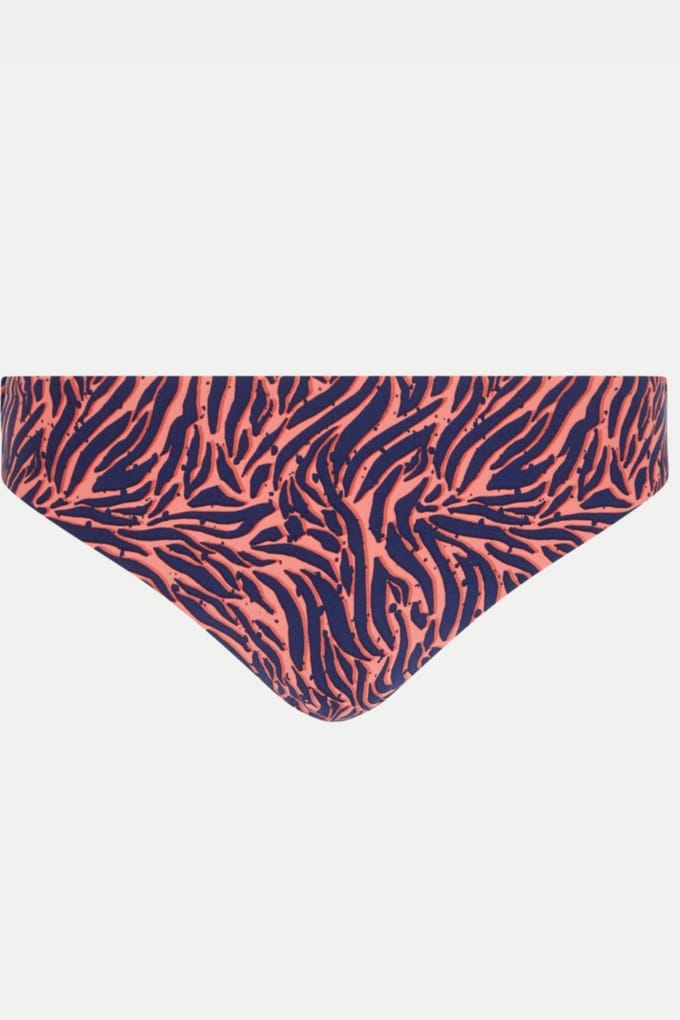 Femilet Sw Bo. Brief Std Std W. Zebra Taglia: 44 | Bikini Outlet | Donna