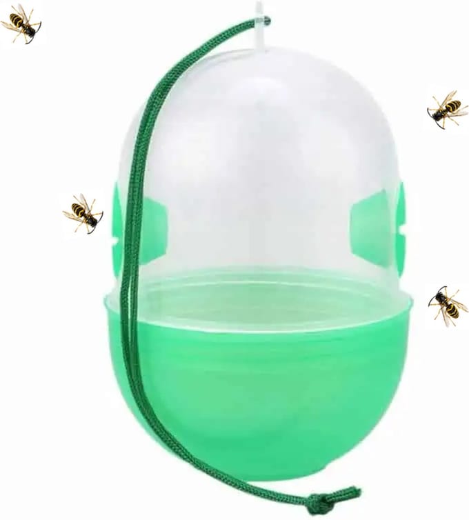 Wespenvanger groen. Wespen wesp vanger.