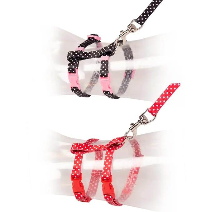Duvo+ Kitten Wandelset Witte Bollen Zwart/Rood 15-25cm / 8mm-125cm