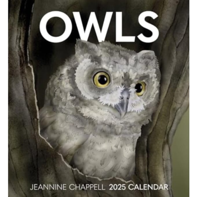 Owls - Chappell, Jeannine