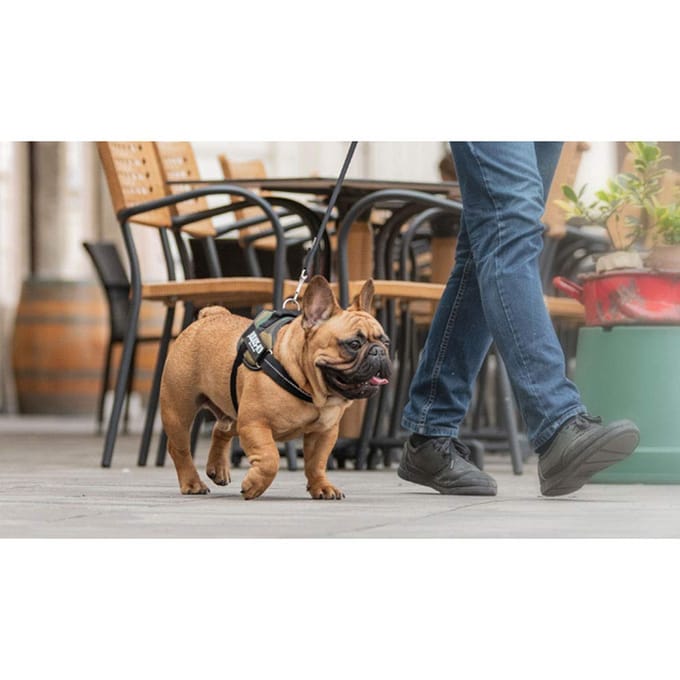 Julius-K9 IDC Powertuig - M - Maat 0 - Blauw