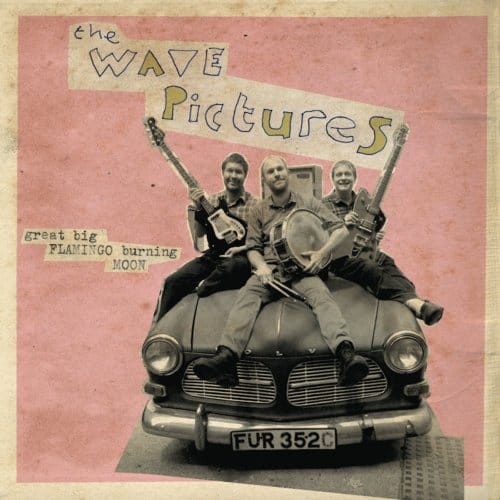 Great Big Flamingo Burning Moon - The Wave Pictures