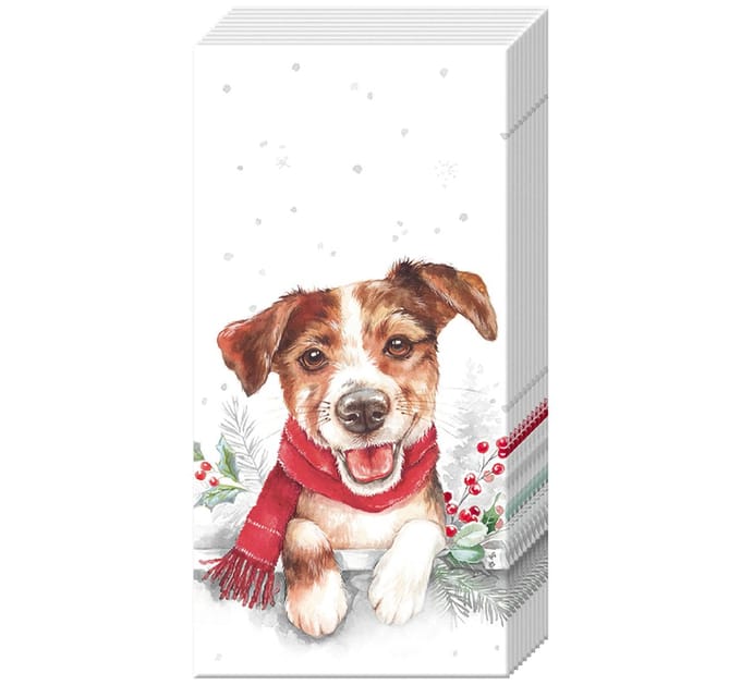 Papieren zakdoek "Louie"