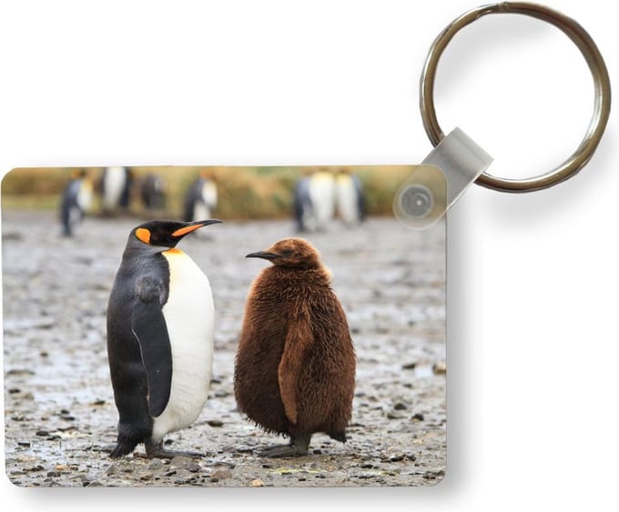 Sleutelhanger - Keizerpinguïn met bruin gekleurd jong. - Uitdeelcadeautjes - Plastic