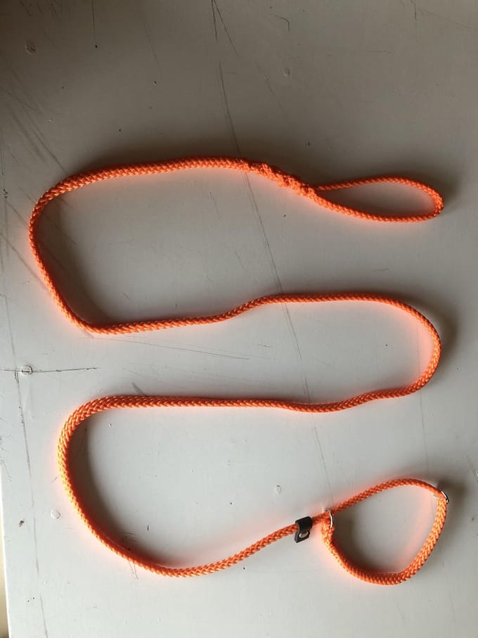 Bianca's Jachtlijn - 200 cm - Medium - Oranje