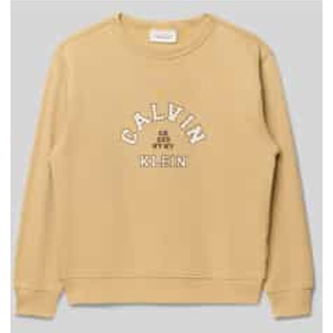 Regular fit sweatshirt met logoprint Model 'Varsity'