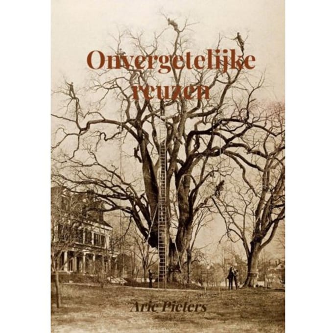 Onvergetelijke Reuzen - Arie Pieters