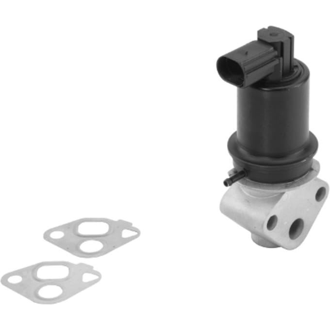 Borg Warner EGR-klep WAHLER 710778D0
