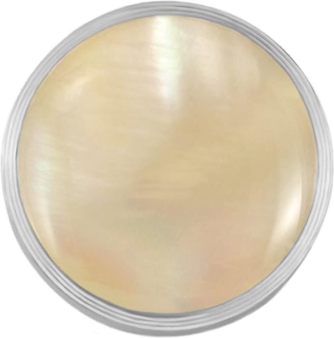 Quiges RVS Verwisselbare Mini Munt Lichtbruine Schelp - SLSRC005