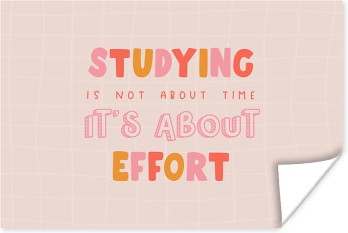 Poster Studeren - Quote - Motivatie - 30x20 cm