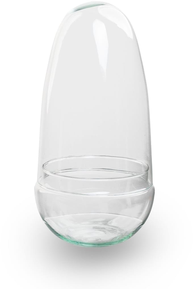Egg - DIY Terrarium Online | Florazo