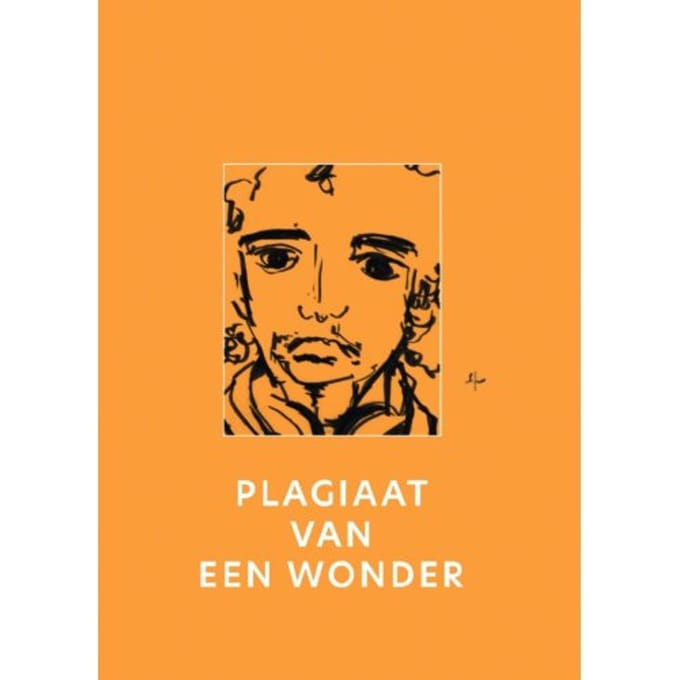 Plagiaat Van Een Wonder - Liesbeth Annokkee