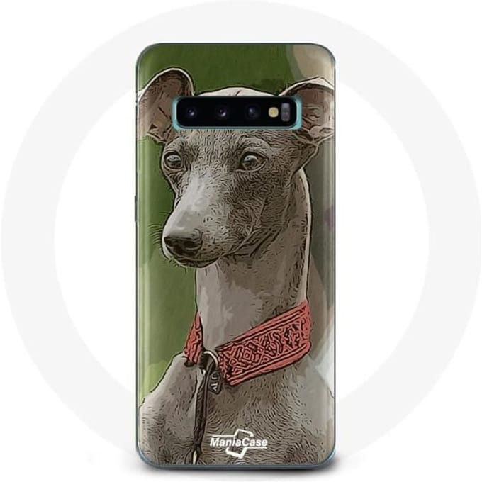 Coque - Samsung - Galaxy S10 - Souple - Lévrier greyhound - Gris gris
